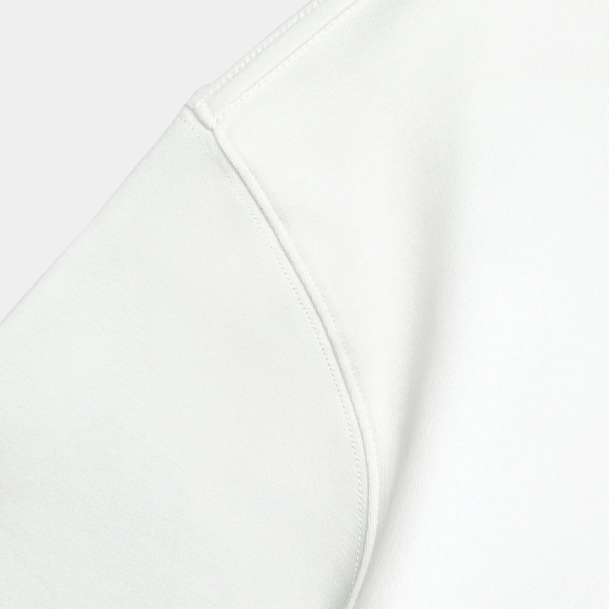 atmos x Tiger Graphic Interlock Cropped Tee - Image 5