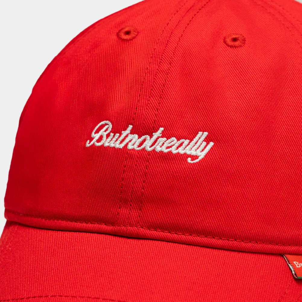 ButNotReally™ Core Embroidery Cap - Image 4