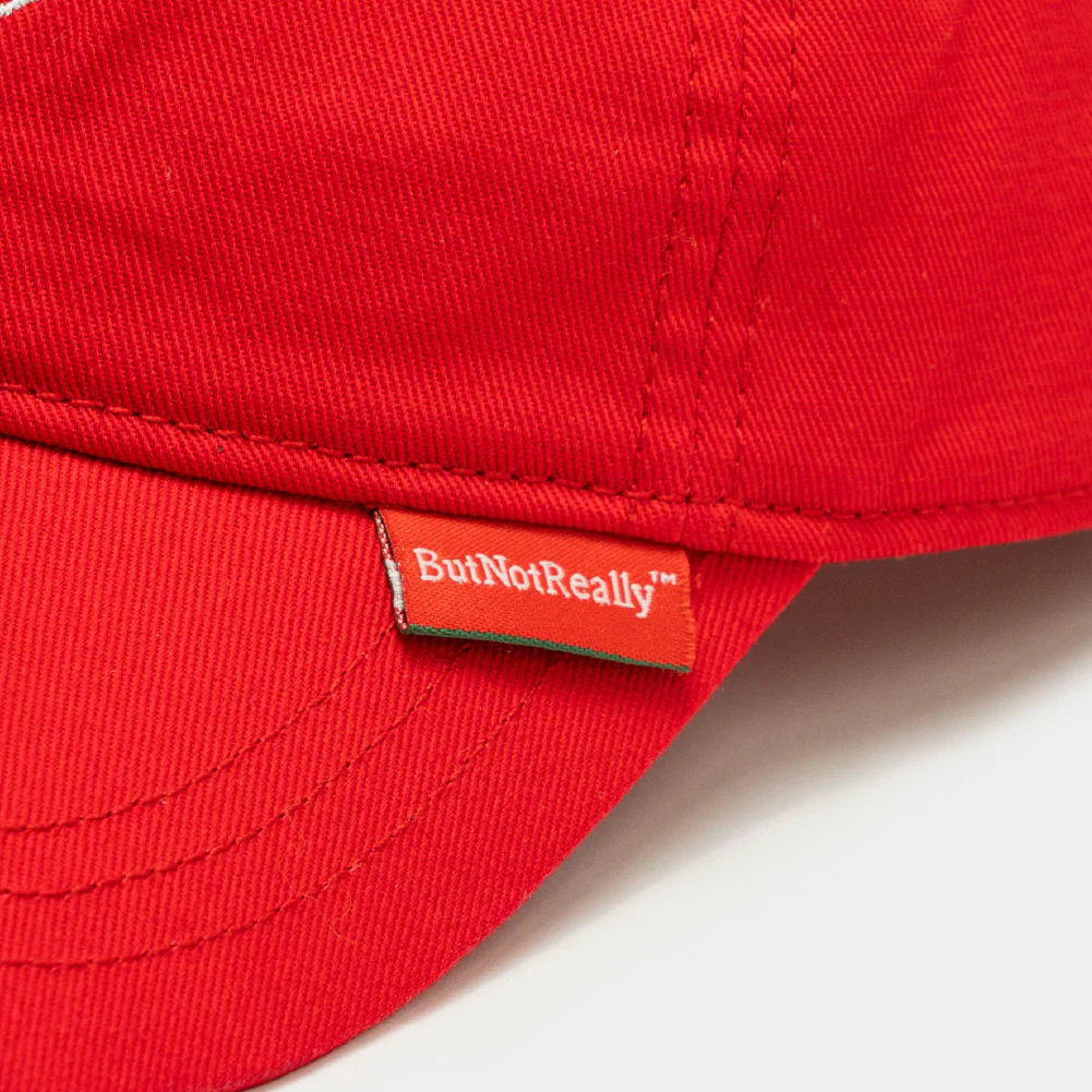 ButNotReally™ Core Embroidery Cap - Image 5