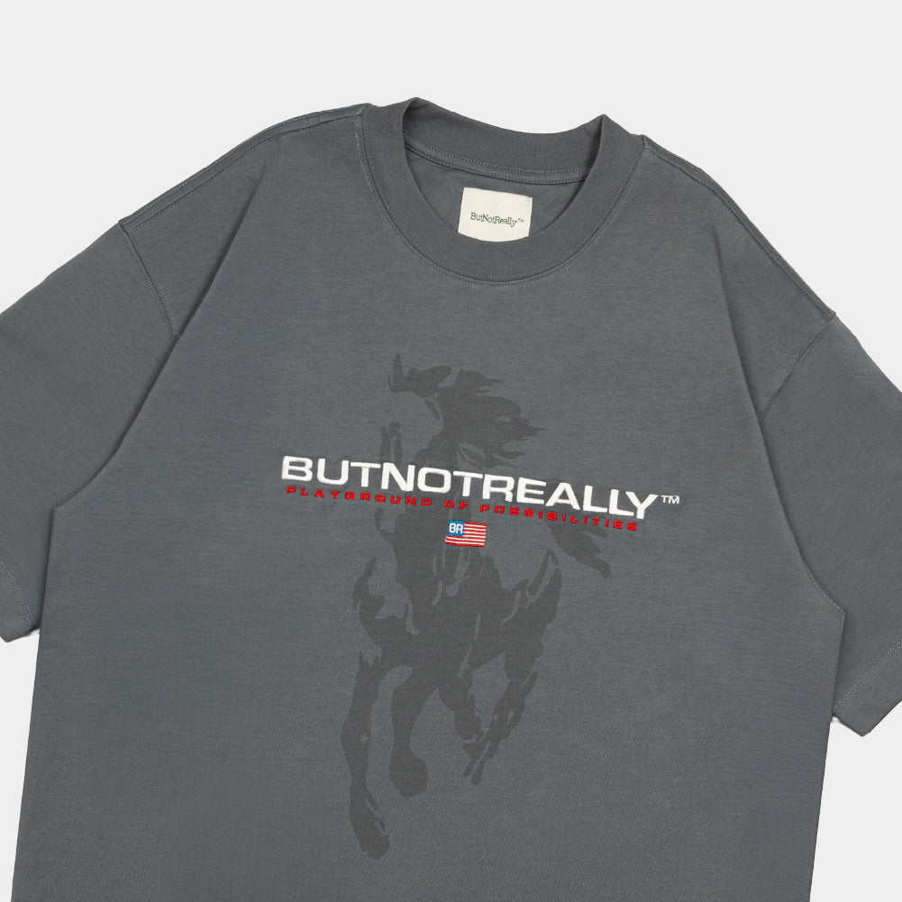 ButNotReally™ Graphic Cotton Oversized Tee - Image 3