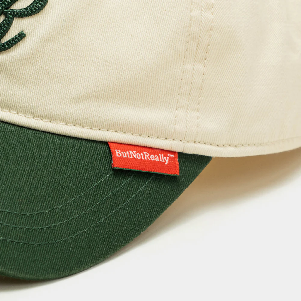 ButNotReally™ Graphic Embroidery Cap - Image 5