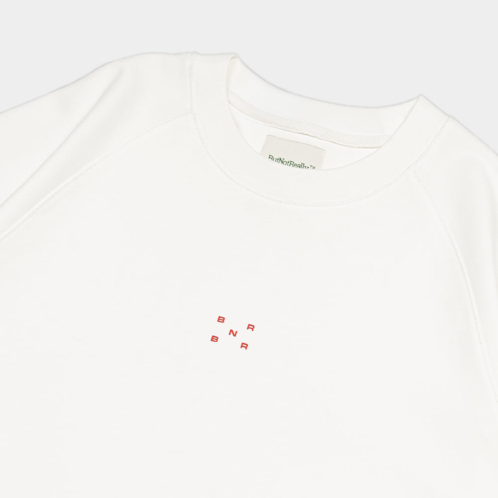ButNotReally™ Graphic Interlock Oversized Raglan Tee - Image 3