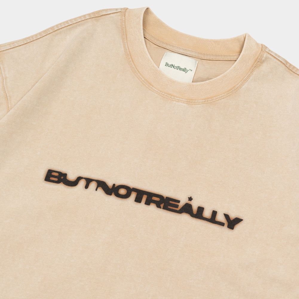 ButNotReally™ Stone-Washed Graphic Cotton Oversized Tee - Image 4